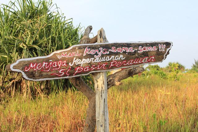 Pari Solata Seaview Homestay Syariah Kepulauan Seribu Eksteriør billede
