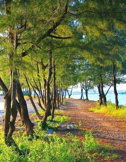 Pari Solata Seaview Homestay Syariah Kepulauan Seribu Eksteriør billede