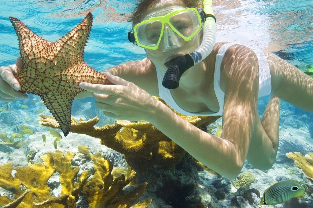 Pari Solata Seaview Homestay Syariah Kepulauan Seribu Eksteriør billede